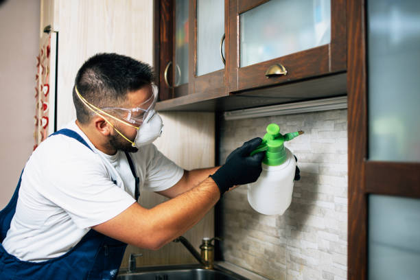 Best Local Pest Control Services  in Eudora, AR