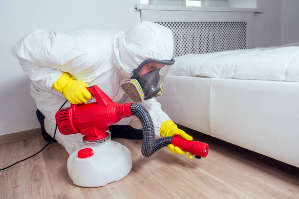Best Pest Prevention Services  in Eudora, AR