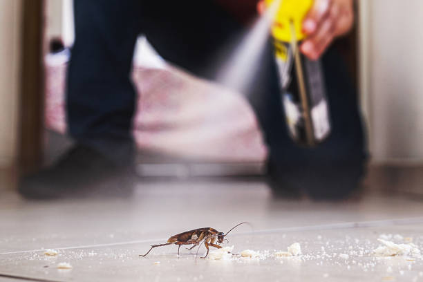 Best Cockroach Control Services  in Eudora, AR
