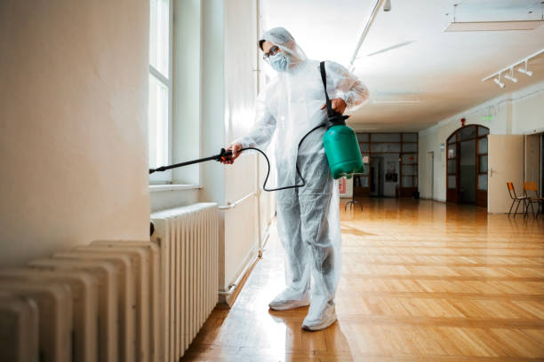 Best Flea Control Services  in Eudora, AR
